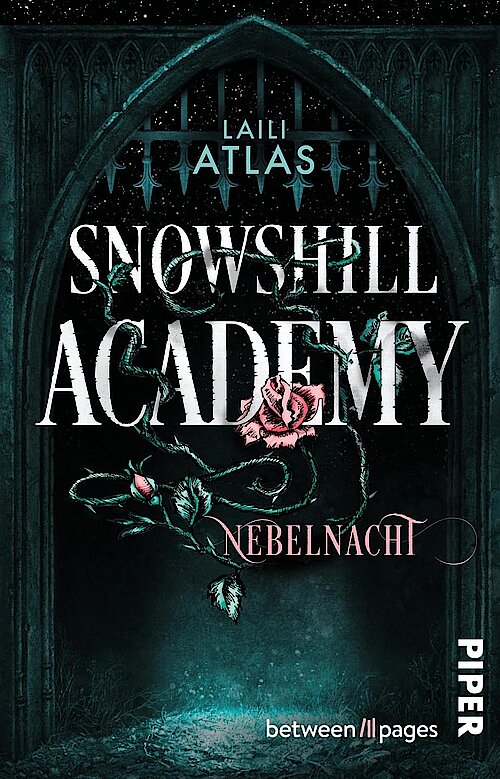 Snowshill Academy – Nebelnacht von Laili Atlas