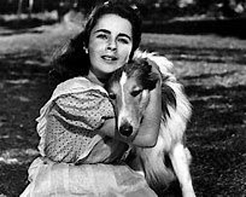 Zwei Legenden in schönster Umarmung: Die kleine Liz Taylor und die große Lassie (c) MGM