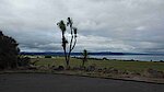 Lake Taupo 1