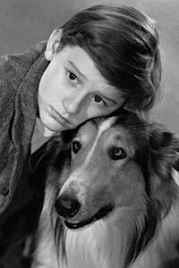 Ewige Freundschaft, ewiger Weltruhm: Lassie und Herrchen anno 1943 (c) MGM