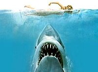 Da kommt WAS! Kultschocker »Der weiße Hai« … ein Videoabend-Highlight (c) Universal Pictures Video