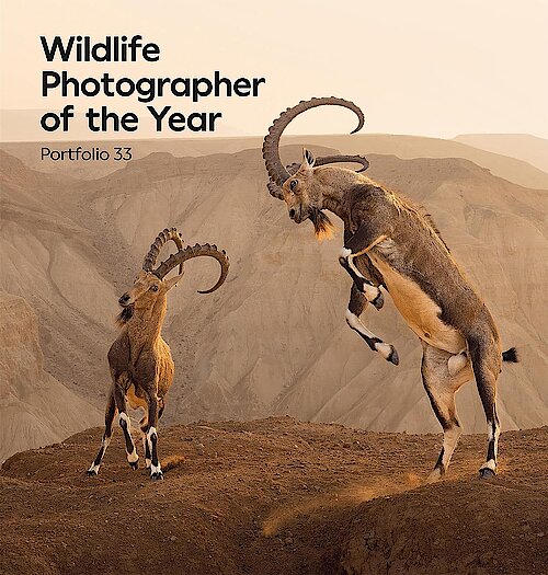 Wildlife Photographer of the Year – Portfolio 33 herausgegeben von Rosamund Kidman Cox