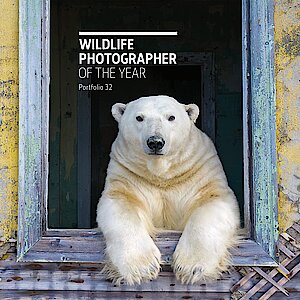 Wildlife Photographer of the Year – Portfolio 32 herausgegeben von Rosamund Kidman Cox