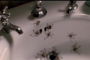 Waschbecken-Schock-Überraschung von 1990: »Arachnophobia« (c) Warner Bros.