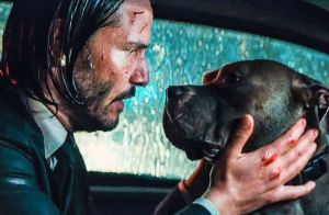 Der perfekte Seelentröster für Keanu Reeves als John Wick (c) Studio Canal Film