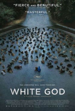 Klasse Film aus Ungarn: »White God« geht unter die Haut. (Filmcover)